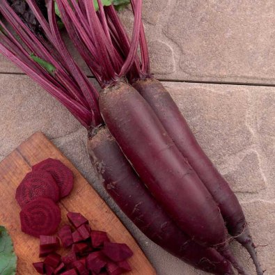 Rödbeta 'Forono'