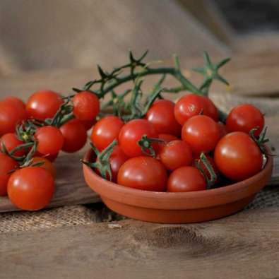 Ampeltomat 'Gartenperle'