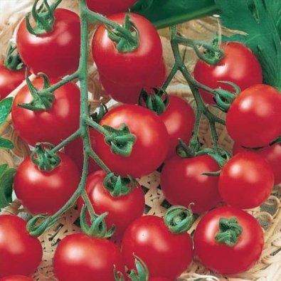 Kruktomat 'Totem' F1