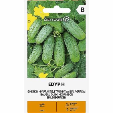 Frilandsgurka 'Edyp' h