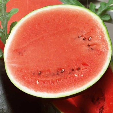 Vattenmelon 'Sugar baby'