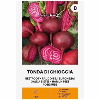Rödbeta 'Tonda di chioggia'