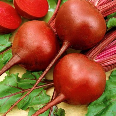 Rödbeta 'Bona'