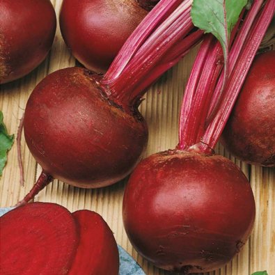 Rödbeta 'Rote kugel 2'