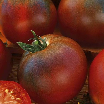 Tomat 'Brunito' H
