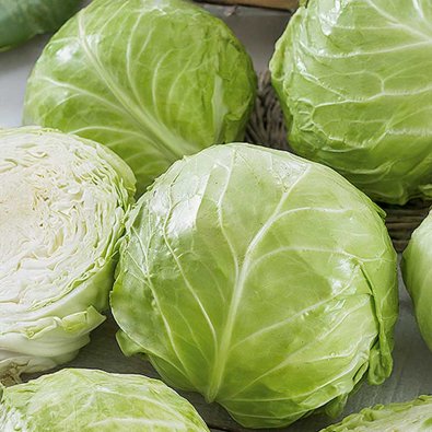 Vitkål 'Betti' H