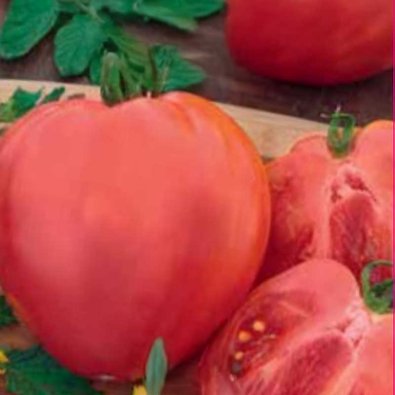 Plommontomat 'Herodes'