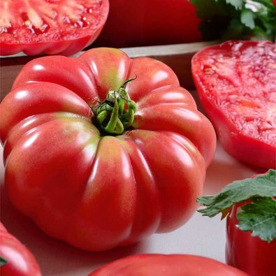 Tomat 'Rosa de barbastro'