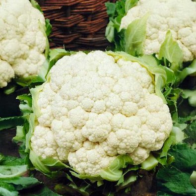 Blomkål 'Sunergy' H