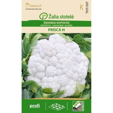 Blomkål 'Frisca' H