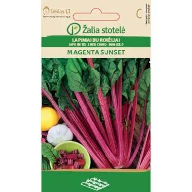 Mangold 'Magenta Sunset'