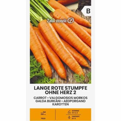 Morot 'Lange Rote Stumpfe Ohne Herz 2'