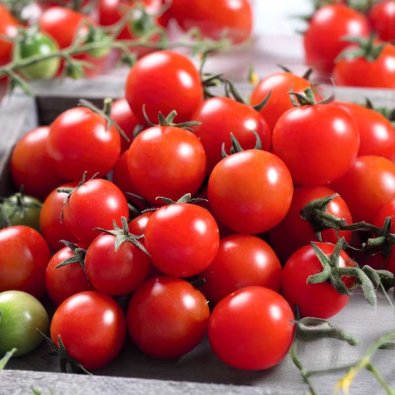 Körsbärstomat 'Charmant' H