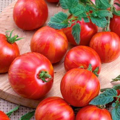 Körsbärstomat 'Duo'