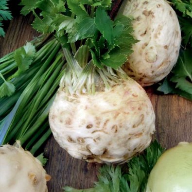 Rotselleri 'Asterix' H