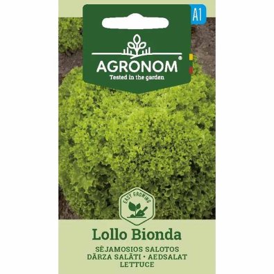 Bataviasallat 'Lollo Bionda'