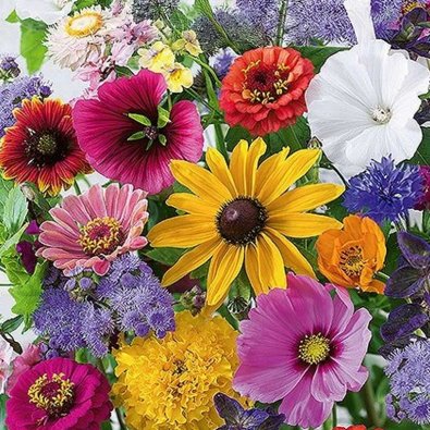 Blomblandning 'Last minute'