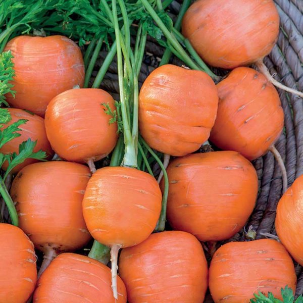 Sommarmorot 'Pariser Markt'