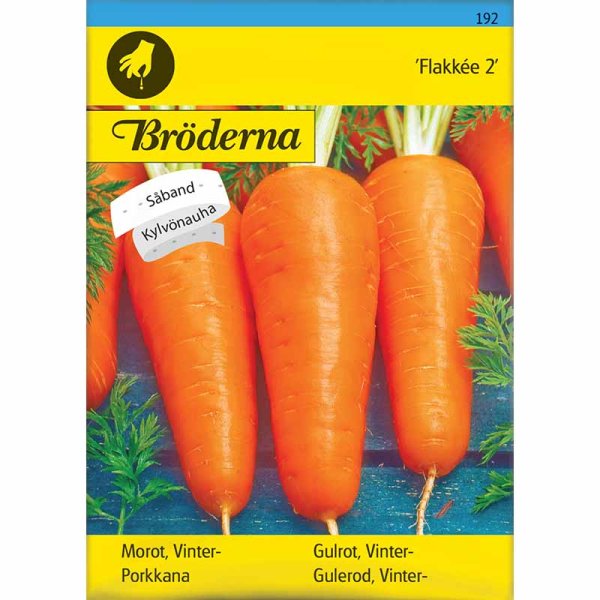 Vintermorot 'Flakkée 2' Såband