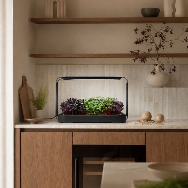 Zoom bild av Urban Root Grove Black