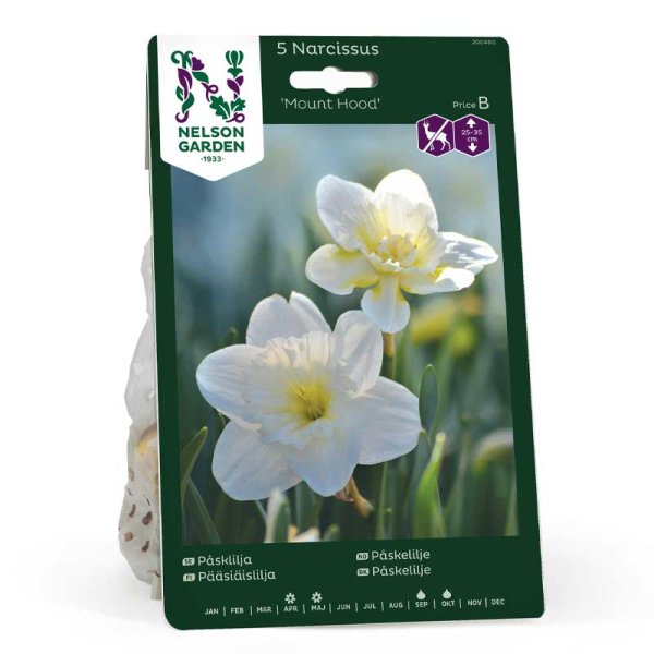 Påsklilja 'Mount Hood'