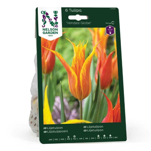 Liljetulpan 'Vendee Globe'