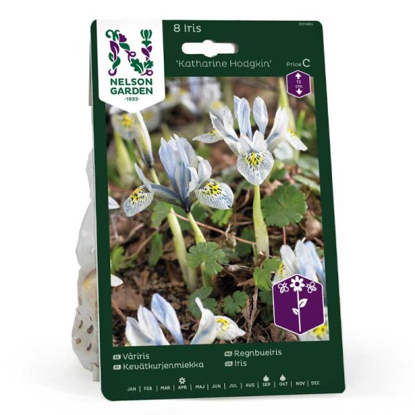 Våriris 'Katharine Hodgkin'