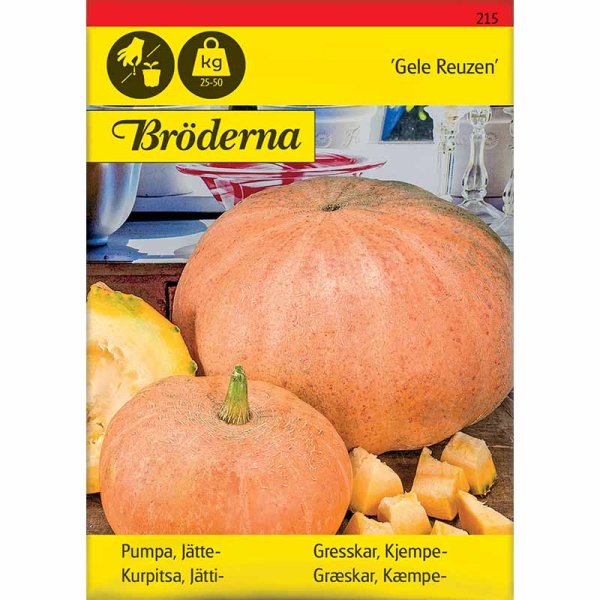 Jättepumpa 'Gele Reuzen'