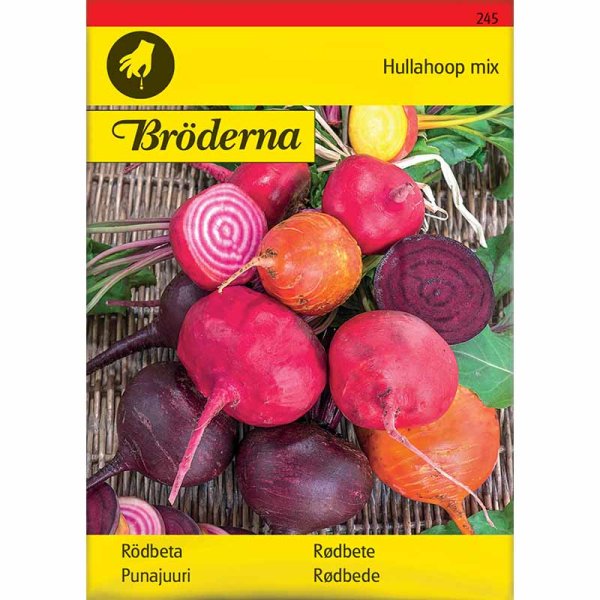 Rödbeta 'Hullahoop mix'