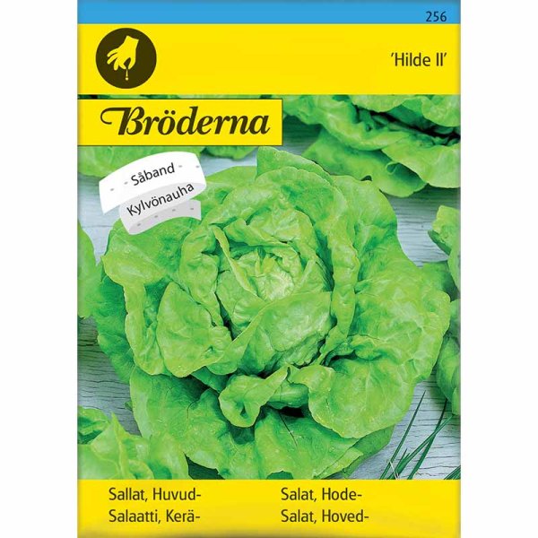 Huvudsallat 'Hilde II' Såband