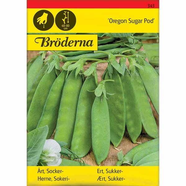 Sockerärt 'Oregon Sugar Pod'