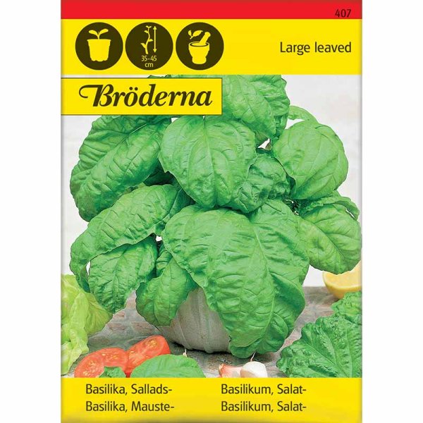 Bailika 'Large leaved'