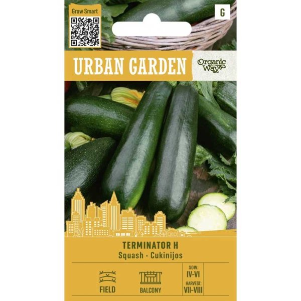 Zucchini ’Terminator H’