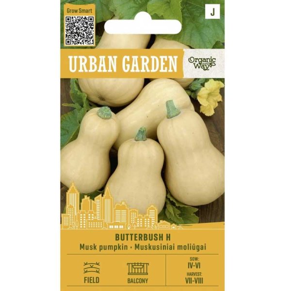 Pumpa ’Butterbush H’