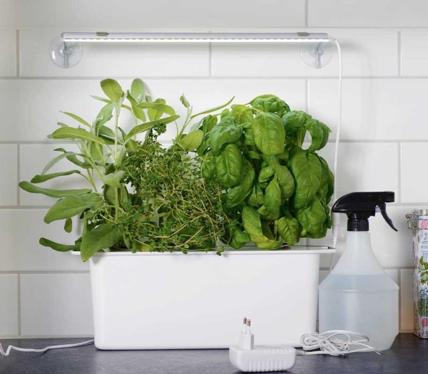 Växtbelysning LED 39cm med adapter