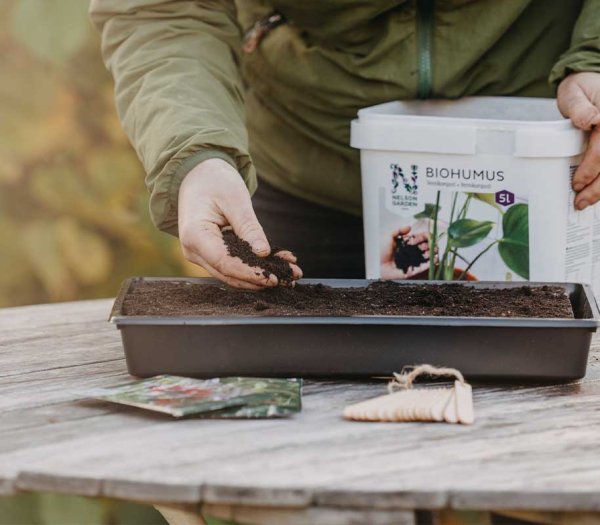 Odlingstråg Solid brätten plugg 23x37cm