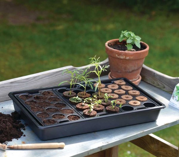 Odlingstråg Solid brätten plugg 23x37cm