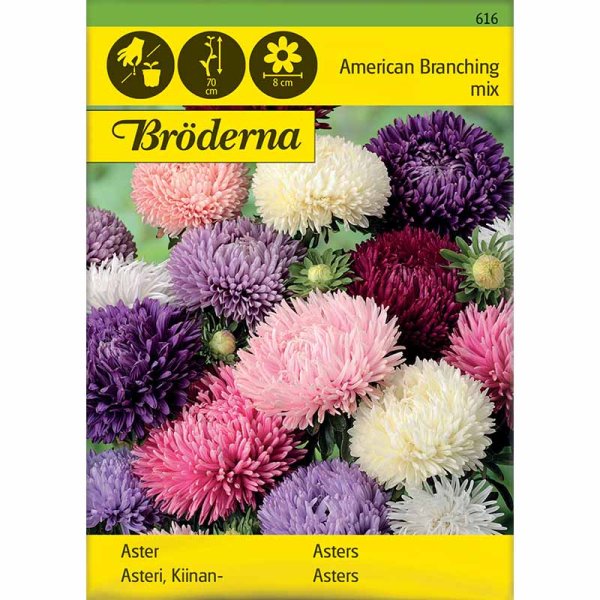 Amerikansk Buskaster