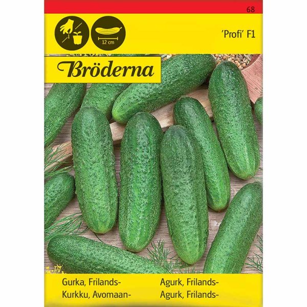 Frilandsgurka 'Profi' F1