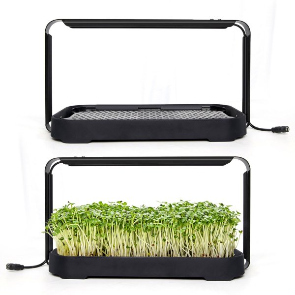 Zoom bild av Urban Root Grove Black