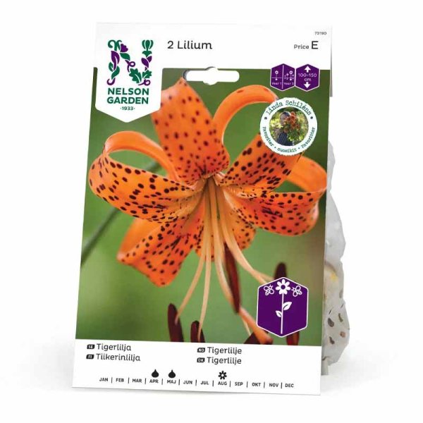 Tigerlilja