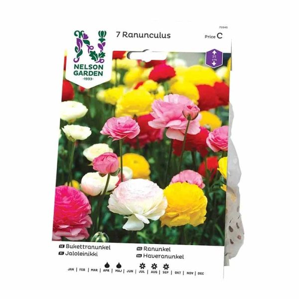 Bukettranunkel blandade färger