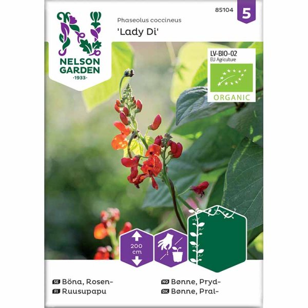 Blomsterböna 'Lady Di' Organic