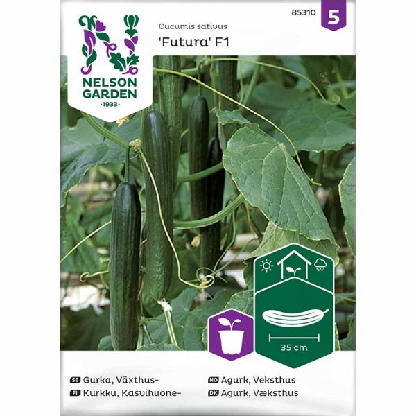 Gurka 'Futura' F1