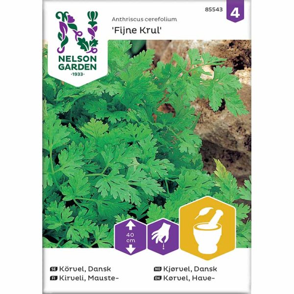 Dansk Körvel 'Fijne Krul'