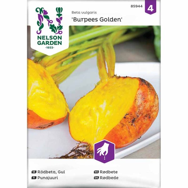 Rödbeta 'Burpees Golden'