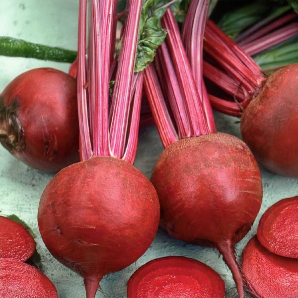 Rödbeta 'Detroit 2'