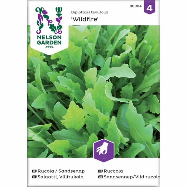Rucola / Sandsenap 'Wildfire'