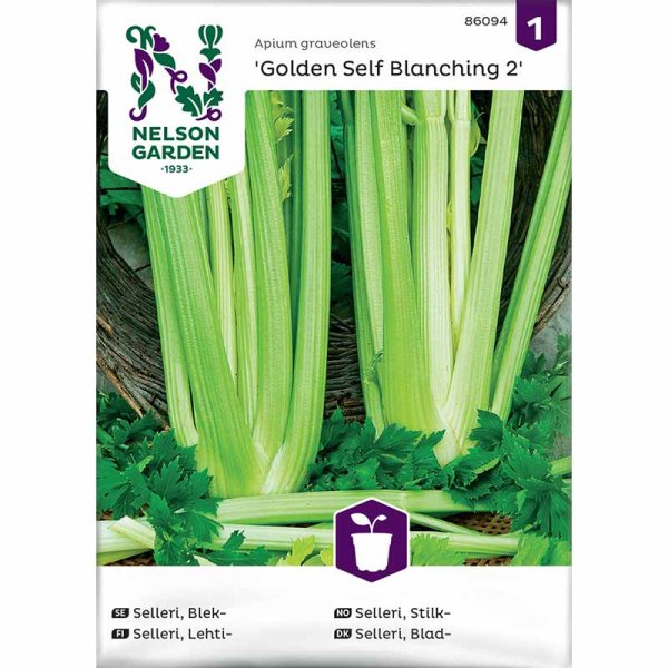 Blekselleri 'Golden Self Blanching 2'