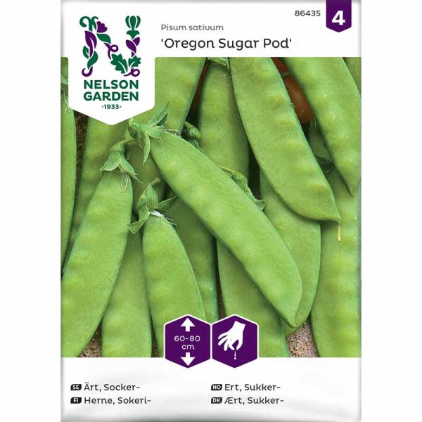 Sockerärt 'Oregon Sugar Pod'